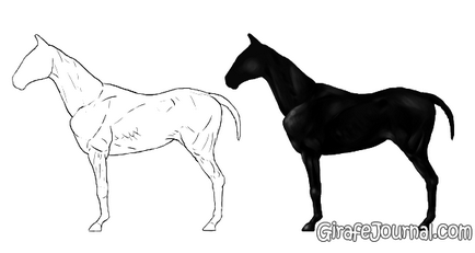 Як малювати кінь поетапно, олівцем