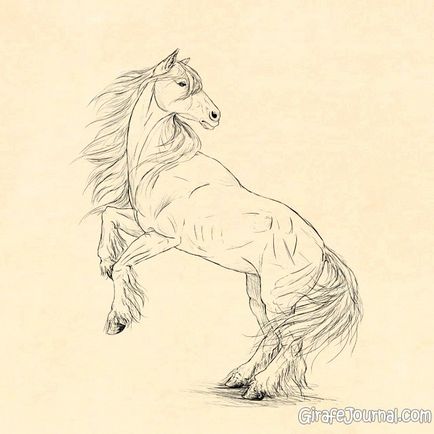 Cum să atragă un cal în etape, cu un creion
