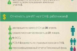 Як здати нульову звітність ип на ССО