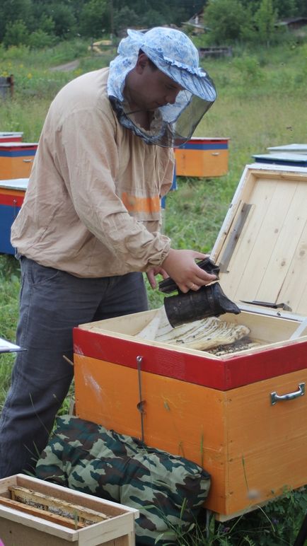Cum de a crea o asociație live de apicultori