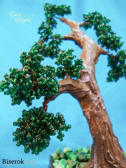 Cum de a lega bonsai clasic (bonsai clasic)