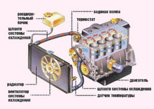 Як видалити повітря із системи охолодження самостійно