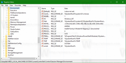 Cum se vede numele și valorile variabilelor de mediu în Windows 10