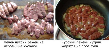 Як в домашніх умовах приготувати нутрію гасіння, копчення, смаження