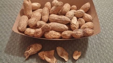 Hogyan növekszik földimogyoró (nő) Hogyan növekszik földimogyoró