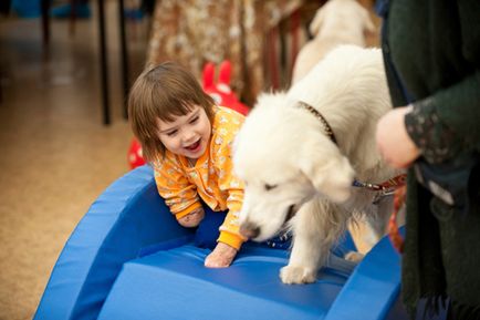 Canis terápia ember és a kutya (lehetővé teszi, hogy működjenek együtt) Canis terápia ember és a kutya