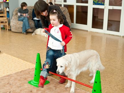 Canis terápia ember és a kutya (lehetővé teszi, hogy működjenek együtt) Canis terápia ember és a kutya