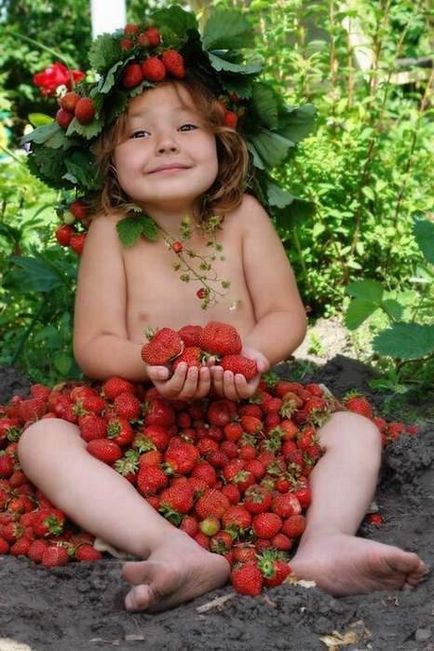 De ce să văd căpșuni sau să aduni fructe de padure mari
