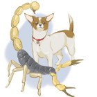 Scorpionul chinezesc și horoscopul zodiacal