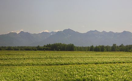 Klyuchevskaya Sopka (Kamchatka)