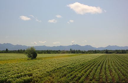 Klyuchevskaya Sopka (Kamchatka)