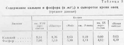 Furajerea oilor în fermele colective din regiunea Leningrad - totul despre creșterea animalelor