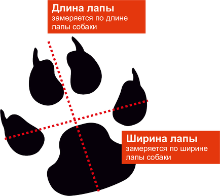 Короткі черевики з неопрена, тріол