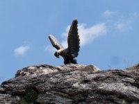 Pisici (regiunea Samara), localnici celebri, etimologie, mass-media