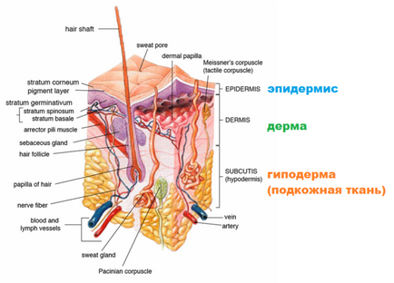 Cosmetice olay - pentru pielea matură