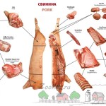 Кострец, вирізка, карбонат і почеревок свині на схемою фото де знаходяться і що це таке