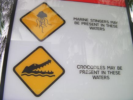 Крокодил в австралії