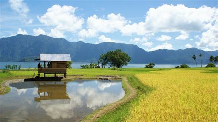 Statiuni din Indonezia