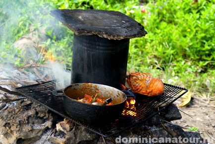 Mongolii din Republica Dominicană