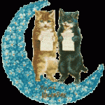 Medicamente de la melancolie, blues de pisici de primavara - kototeka - cele mai interesante despre lumea pisicilor