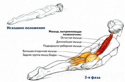 LFK херния на лумбосакралната гръбнака