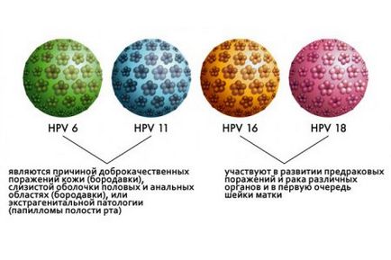 Локалізації, причини та видалення сухих бородавок традиційними і народними методами