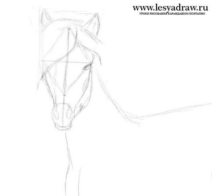 Calul trage în etape - cum să atragă un cal în etape, trasând un cal în creion