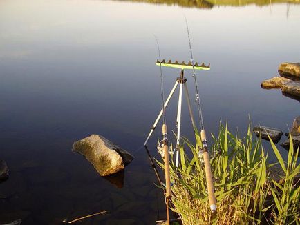 Pescuitul pentru Donku - Grădina Națională a Pescarilor