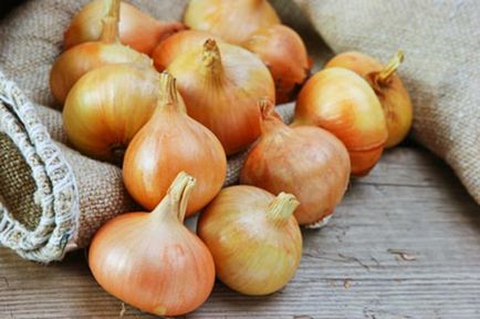 Hagyma maszk hajhullás receptek, tippeket rajz (szemben haj bozont) Hagyma maszk hajhullás receptek, tippek alkalmazása