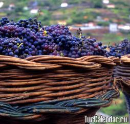 Madeira în primăvara, vara, toamna, iarna - sezoanele și vremea în Madeira, după luni, climă, temperatură