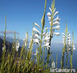 Madeira tavasz, nyár, ősz, tél - évszakok és az időjárás Madeira havi, klíma, hőmérséklet