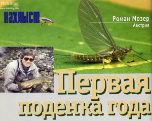 Little mormyshka - ziar online despre pescuit