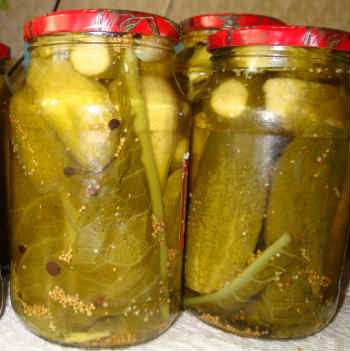 Pickles téli, ropogós, sterilizálás nélküli (savanyúság téli ropogós, sterilizálás nélküli) Uborka télen, ropogós, sterilizálás nélküli