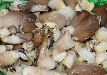 Marinată reteta de ciuperci de stridii pentru gătit instant, delicioase, pentru iarnă, foarte, acasă,