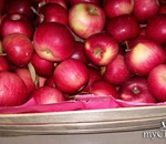 Marokkói agyag a szépség és az egészség a bőr - fitokosmetik marokkói agyag vörös (piros) Marokkói agyag a szépség és az egészség a bőr - fitokosmetik marokkói vörös agyag