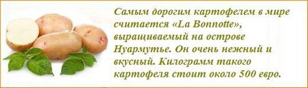 Маска з картоплі для особи - картопля в косметології