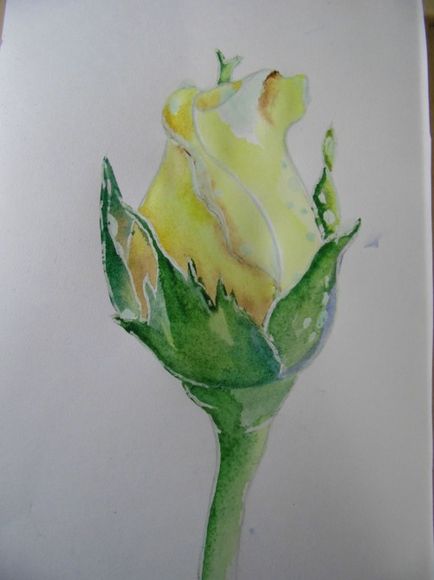 Майстер-клас з малювання «троянда»