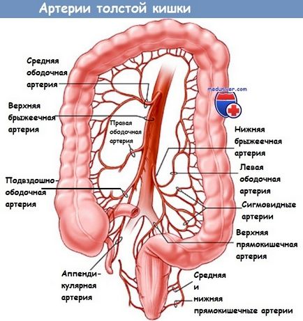 Методика субтотальної колектомія