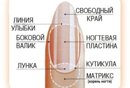 Міфи і правда про Шелак (гель-лаку)