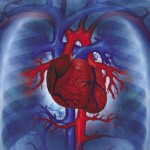 Simptome infecțioase ale miocarditei, diagnostic, tratament - aveți grijă de inimă