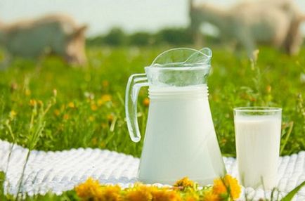 Молоко при виразці шлунка чого побоюватися і як правильно приймати