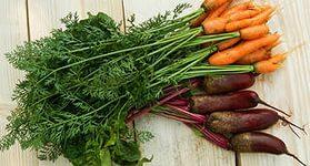 Морквяна бадилля - користь і застосування - my life