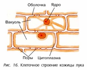 Laboratorul meu