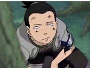 Nara shikamaru de la anime naruto - descrierea tuturor personajelor de pe portalul anime