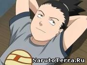 Nara shikamaru de la anime naruto - descrierea tuturor personajelor de pe portalul anime