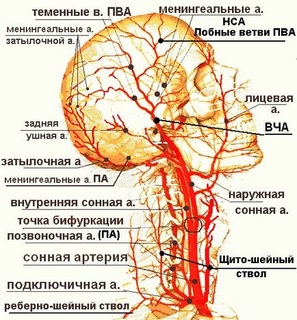 Порушення венозного кровообігу головного мозку