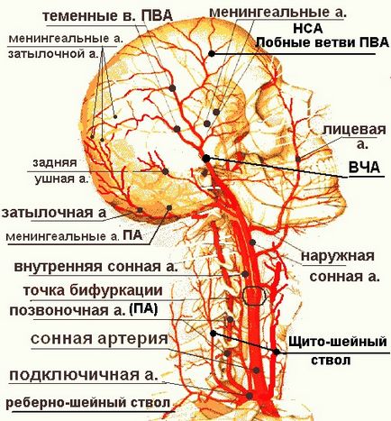 Încălcarea circulației venoase a creierului