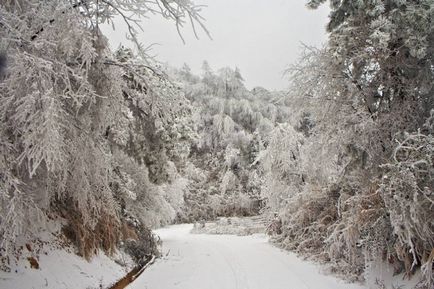 Parcul național din china zhangjiajie