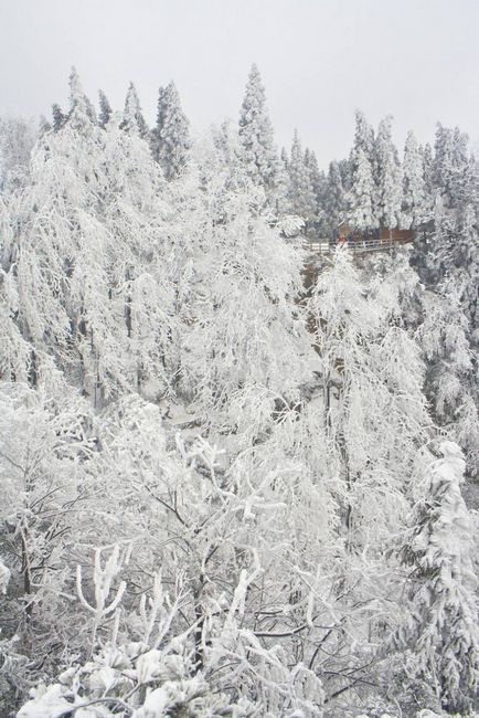 Parcul național din china zhangjiajie