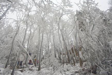 Nemzeti Park Kína Zhangjiajie